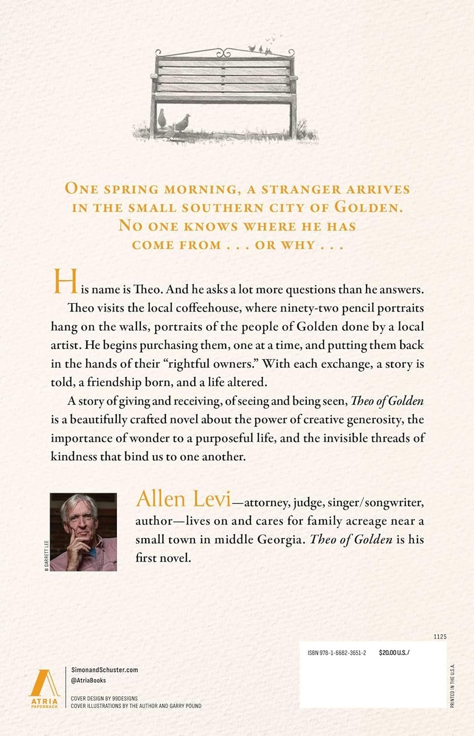 Theo of Golden by Allen Levi – Inspirational Fiction Novel, Contemporary Southern Fiction Book, Heartwarming Literary Novel, Paperback Book - Image 2